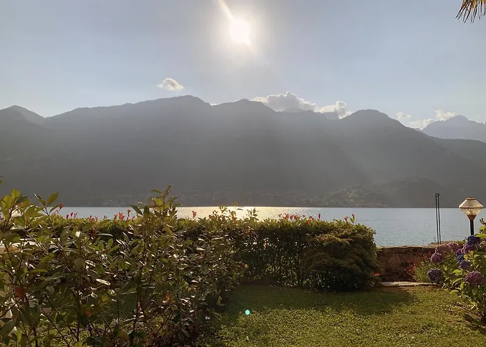 Terrace On The Lake Lejlighed Oliveto Lario